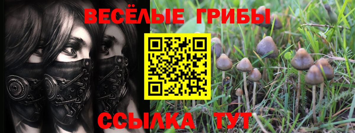 Ржев  Галлюциногенные грибы GOLDEN TEACHER  Вход с VPN 